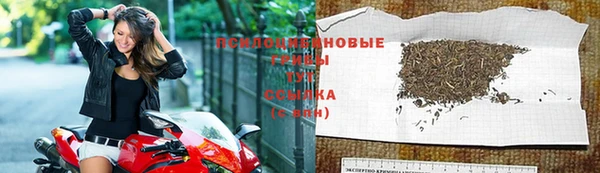индика Армянск