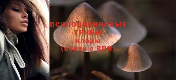 индика Армянск