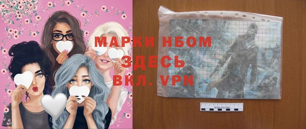 индика Армянск