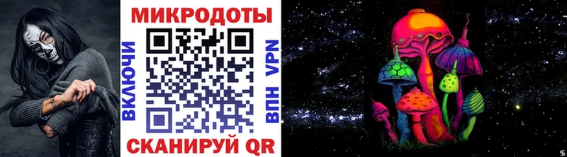 Галлюциногенные грибы Psilocybine cubensis  Асино 